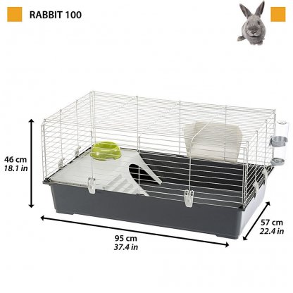 Rabbit 100 - Image 2