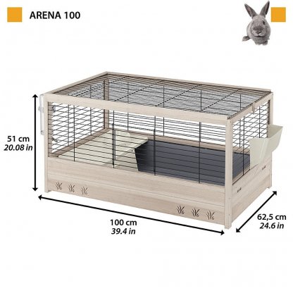 Arena 100 - Image 2