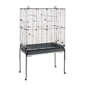 Narvas PLANETA BLACK