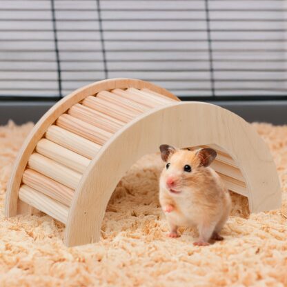 ARCADE ARCH - Image 3